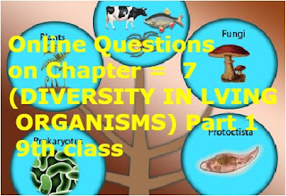 Online Questions on Chapter =  7 (DIVERSITY IN LIVING ORGANISMS) Part 1 => 9th class