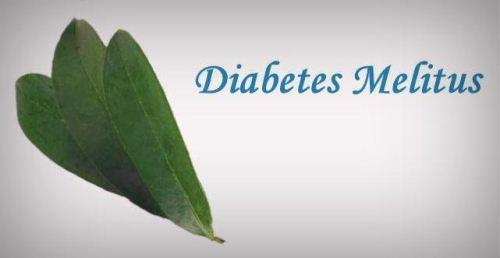 diabetes daun sirsak manfaatnya