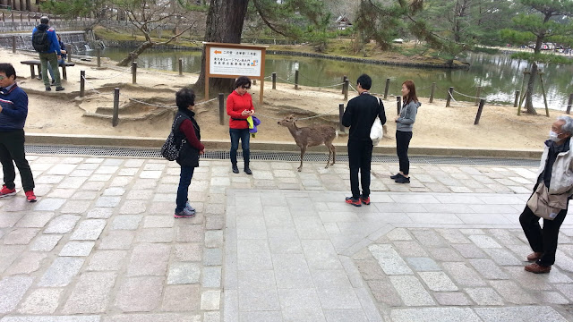 « 奈良公園. »