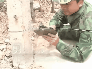 3.gif