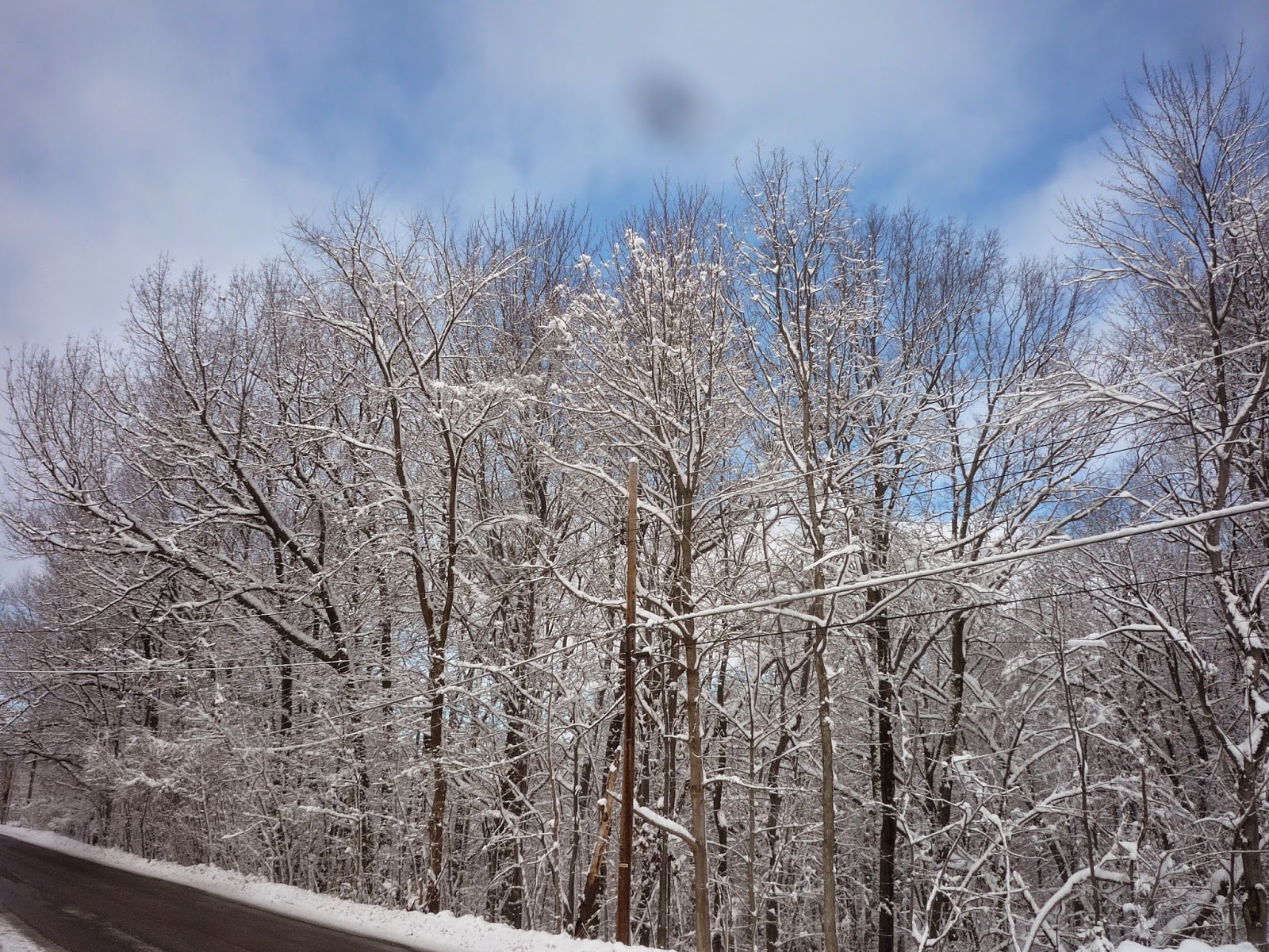 Weather in Vermont Dec 2014 Snowstorm South Burlington, Vermont