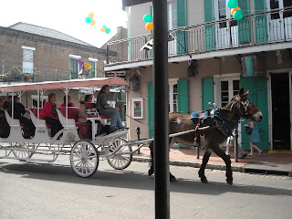 Carriage Rides in The French Quarter