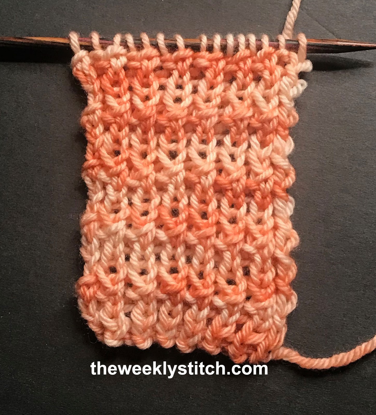 Knotted Rib Stitch The Weekly Stitch