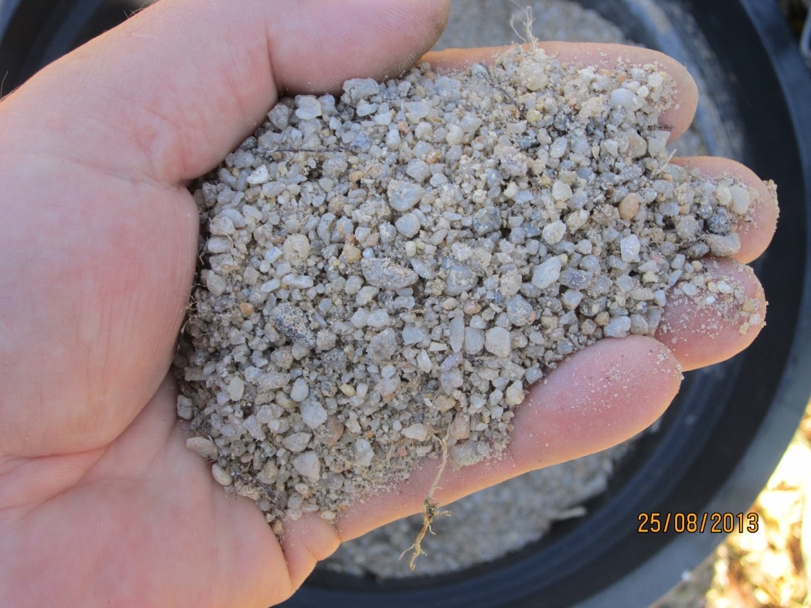The Niche Nursery: Coarse Sand is Horticultural Gold.