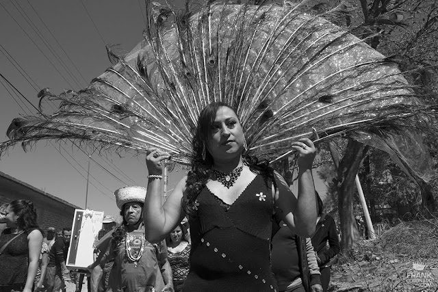 carnaval de san martin tilcajete