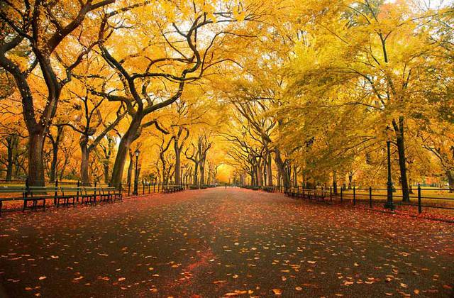 Autunno nei parchi Autunno nei parchi