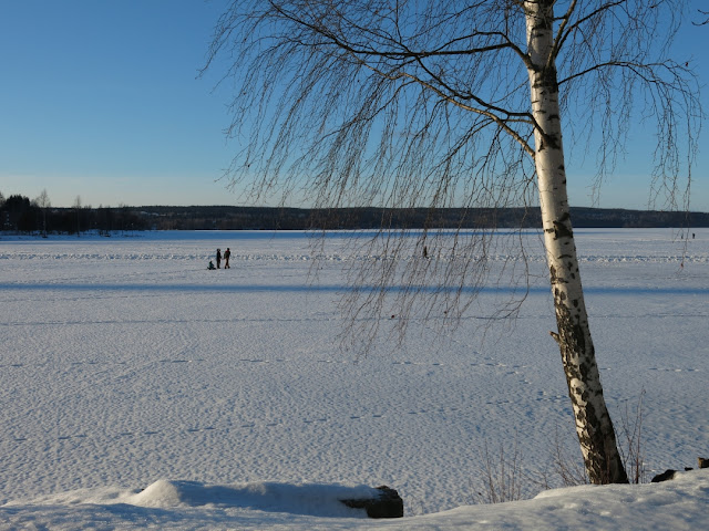 talvikuvat Vesijärvi