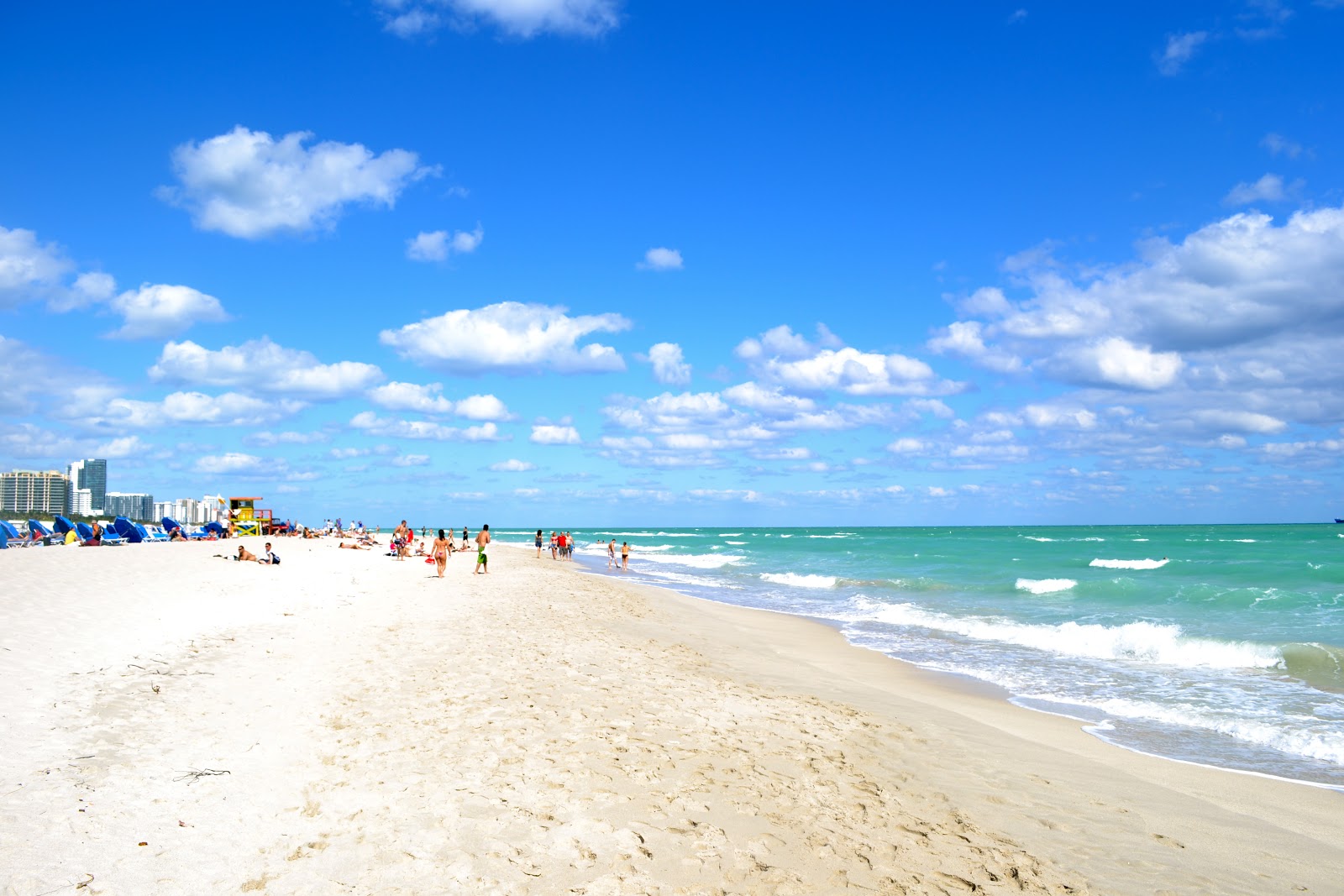 bienvenido visual data 5