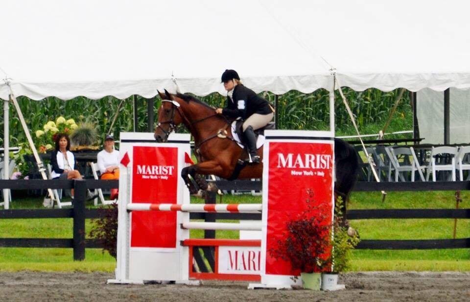Playland Equestrian Center Horse Boarding, Horse Sales & Horse