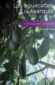 Los aguacates y la Axarquía: La fruta del corazón