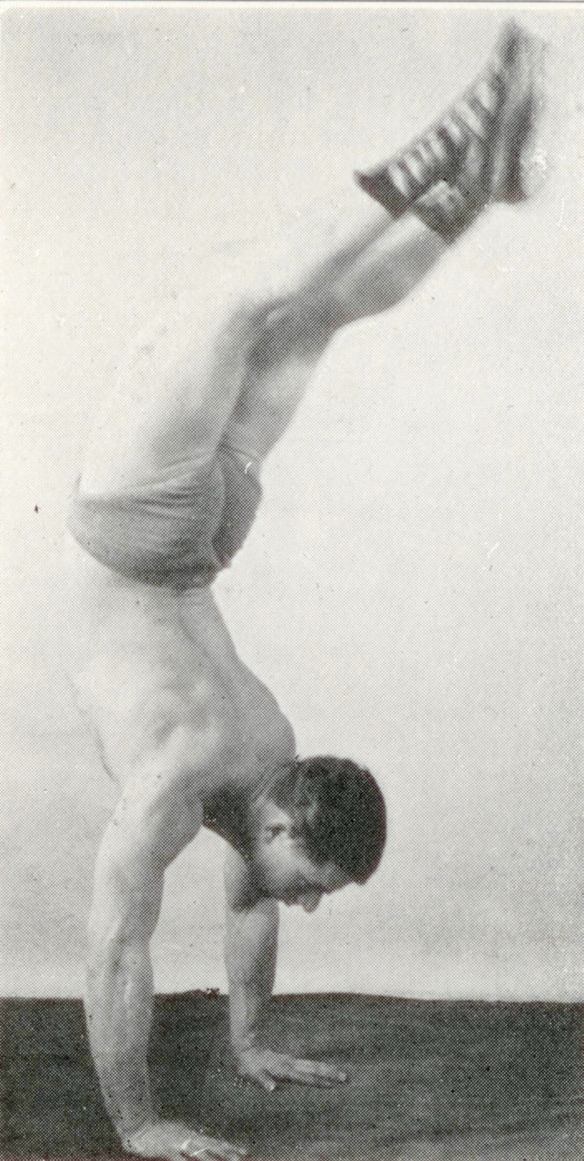 Dinosaur Training Sig Klein�s Dumbbell Challenge Dinosaur Training Sig Klein�s Dumbbell Challenge