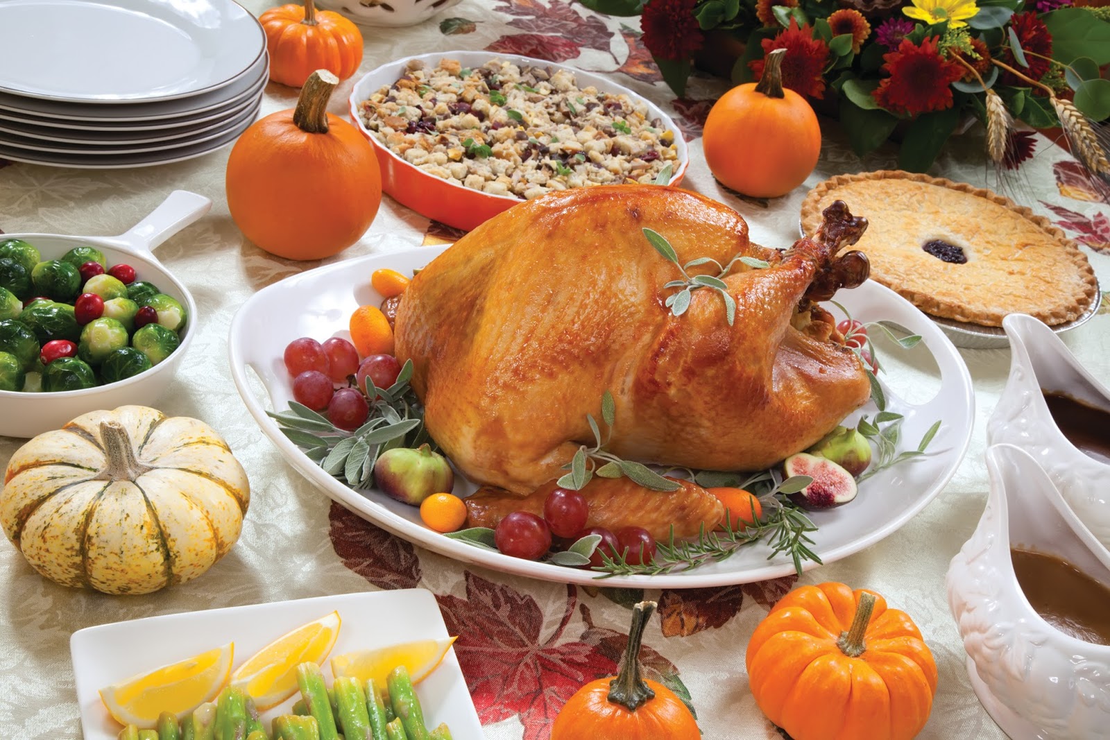 Yum, Yum—It’s Turkey Time! – Jerry Baker's Whats Growin' On