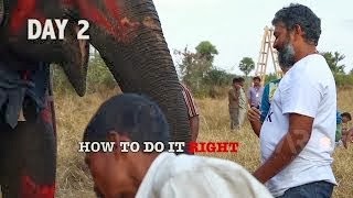 Baahubali+Rajamouli+Climbing+elephant+-+