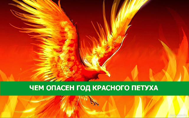 ЧЕМ ОПАСЕН ГОД КРАСНОГО ПЕТУХА Фото Эзотерика деньги Болезнь ЧЕМ ОПАСЕН ГОД КРАСНОГО ПЕТУХА Фото Эзотерика деньги Болезнь