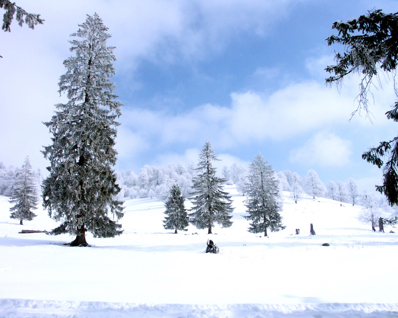 Amazing Set of Winter Scene 25 Wallpapers 2012 ~ Celebrities Mania