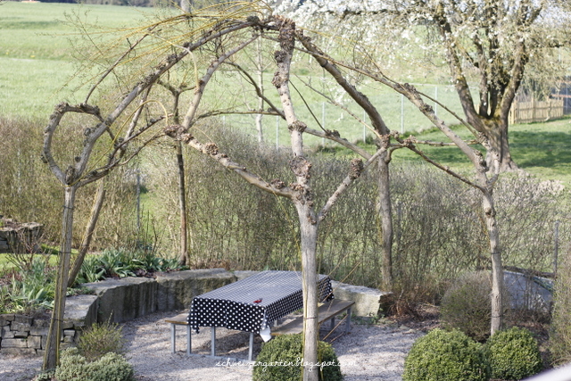 Ein Schweizer Garten Prenons Le Temps