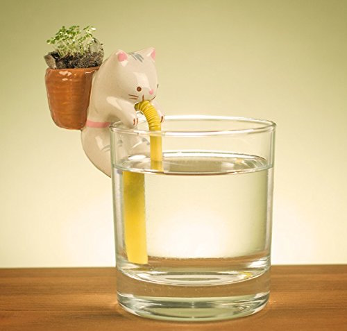 04-Cat-Chuppon-Self-Watering-Animal-Planter-www-designstack-co