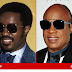 STEVIE WONDER: ¿BUENOS GENES O BUENOS CIRUJANOS?