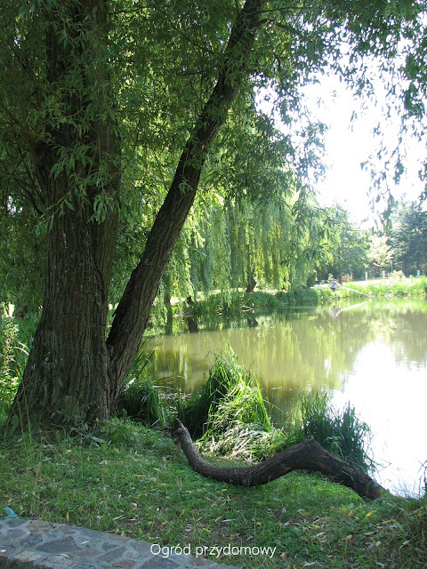 Park Oruński, ogród przydomowy