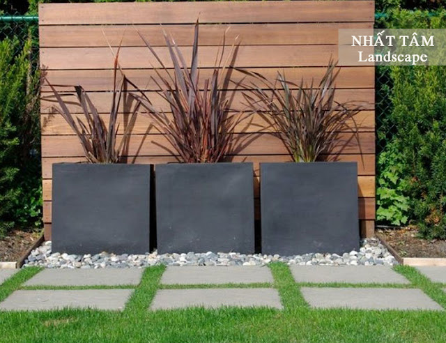 Chậu xi măng đen - 2