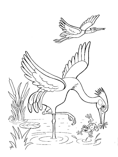 Mewarnai Gambar Burung Bangau - 7 Mewarnai Gambar Burung Bangau - 7