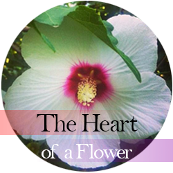The Heart of a Flower