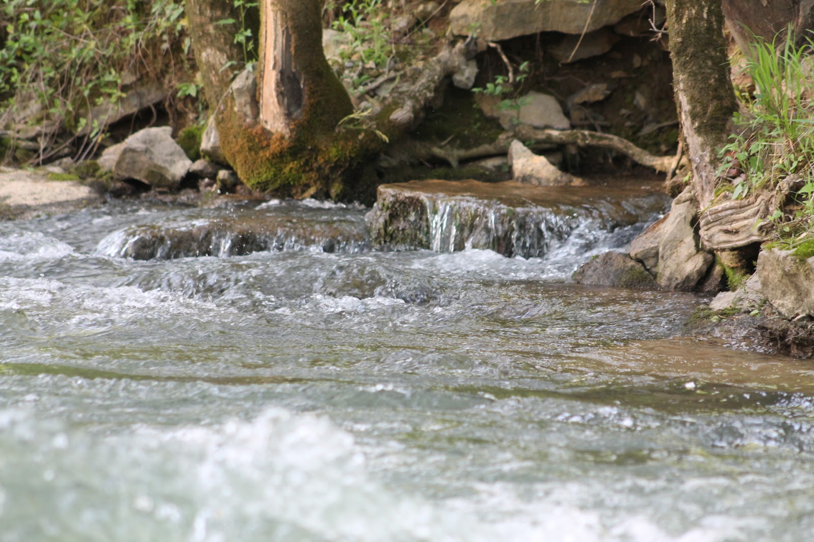 Mom's Frugal "Boiling Springs" in Jackson County!