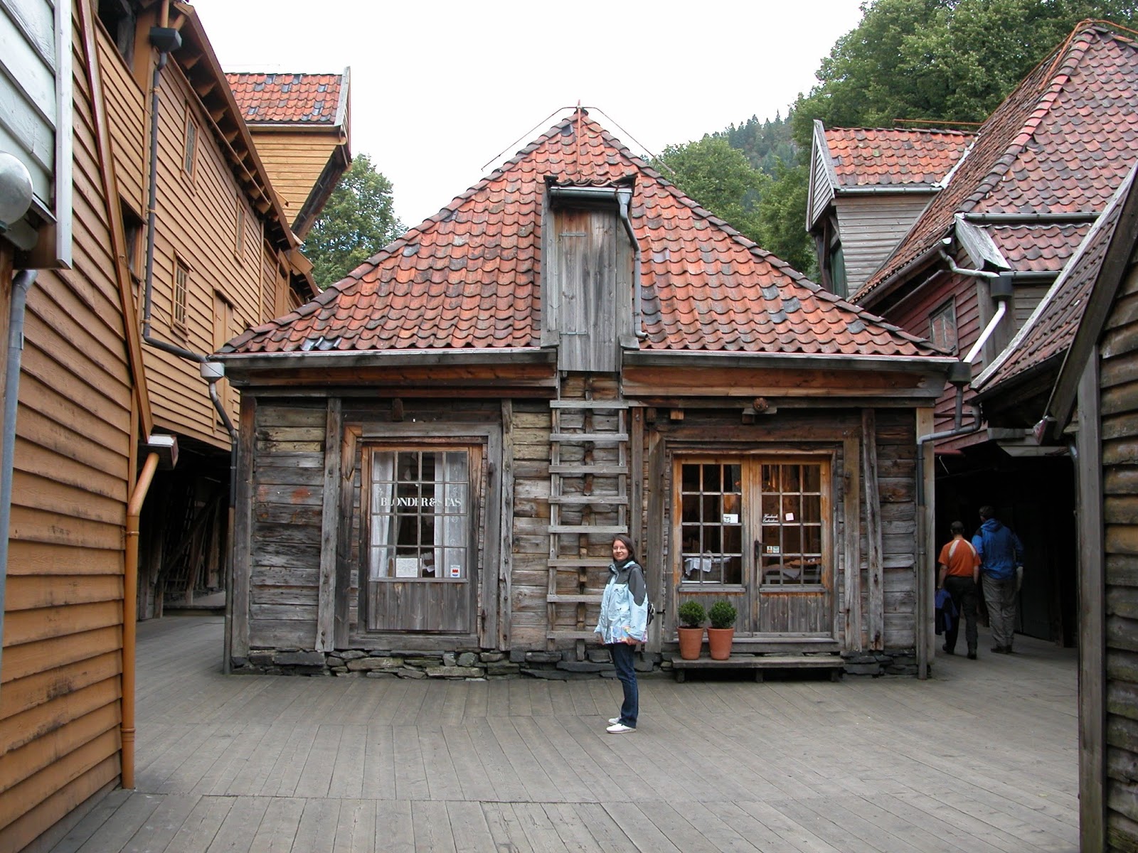 Norwegen  ein Traum aus Fjorden und Gletschern  don`t kill your dreams