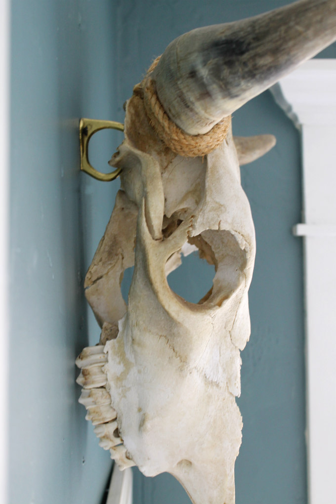 How to hang a Cow Skull The Wicker House