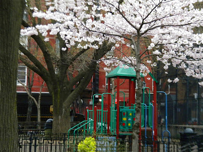 Spring Hells Kitchen Park New York City