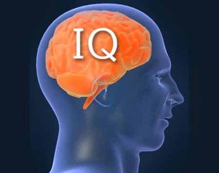 5 Ciri ciri manusia yang Memiliki IQ Tinggi 5 Ciri ciri manusia yang Memiliki IQ Tinggi