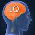 5 Ciri ciri manusia yang Memiliki IQ Tinggi thumbnail