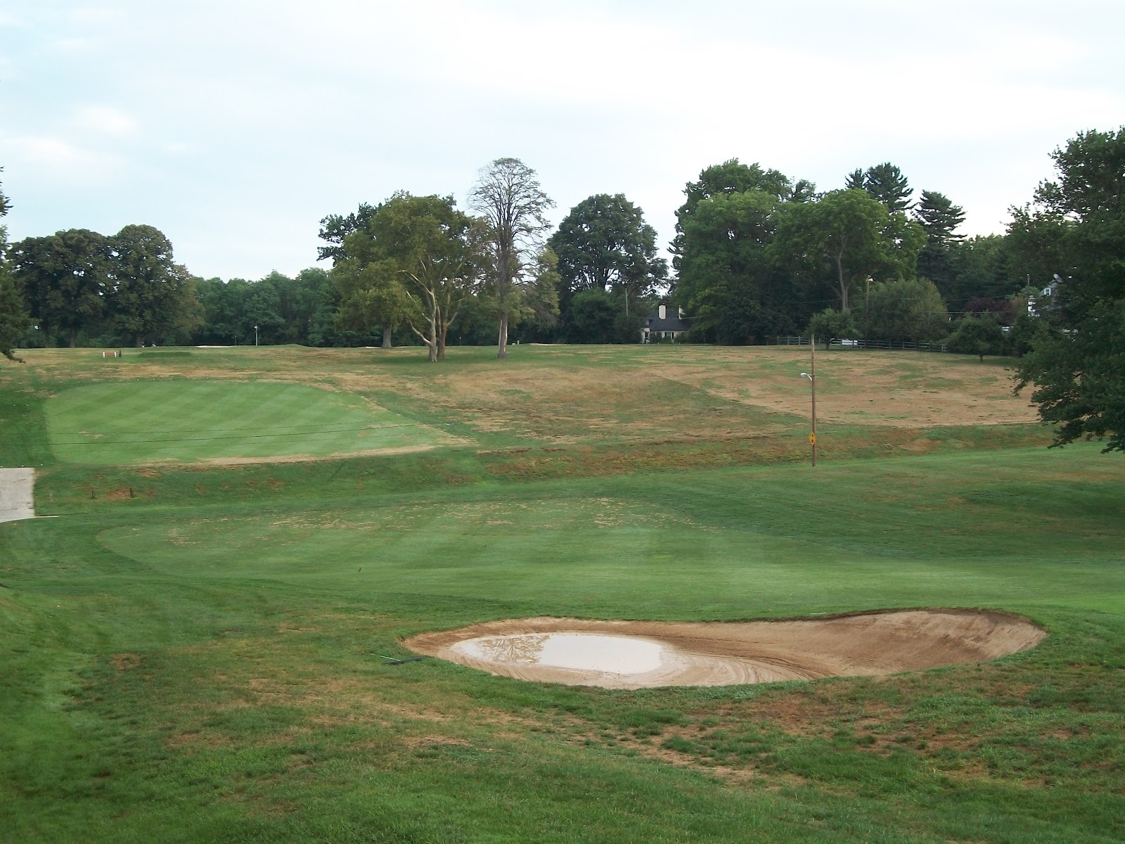 .: Zoysia Fairway Conversion Complete / Upcoming Rough Conversion