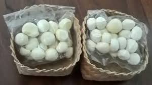 Varian yang Tersedia