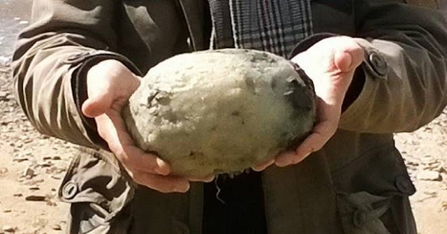 Temukan Benda Ini di Pantai Dengan Segera Kamu Akan Jadi Jutawan bongkahan ambergris