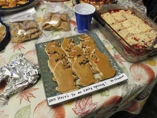 groundhog cookies