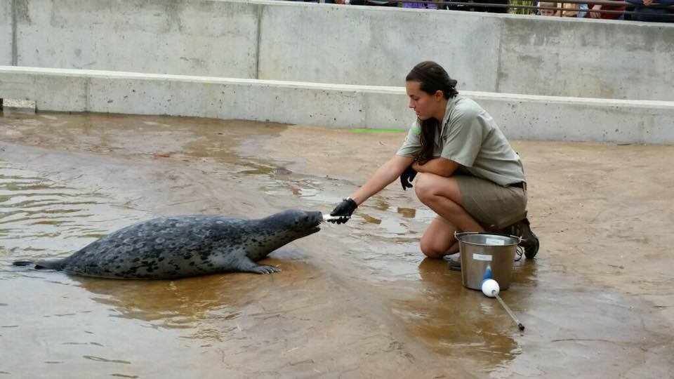 The Scorpion and the Frog How to a Zoo Keeper