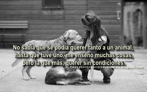 Frases bonitas sobre el amor a los animales, Día Mundial de los Animales, Amor incondicional, Frases para pensar, Frases de Inspiración y motivación,