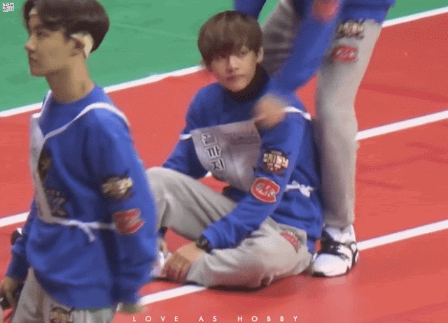 AfraidMistyAfricanharrierhawk-size_restr