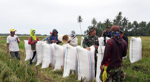 Wujudkan Ketahanan Pangan, Babinss Giatkan Pendampingan