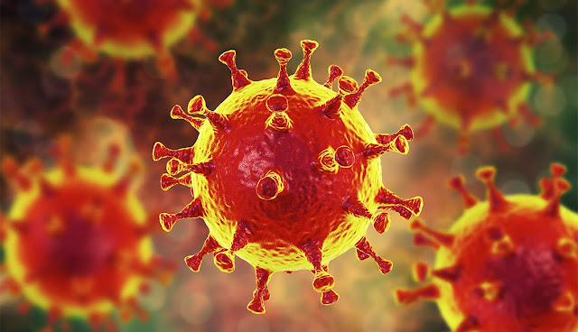 How the Oxford coronavirus vaccine works and what's next How the Oxford coronavirus vaccine works and what's next