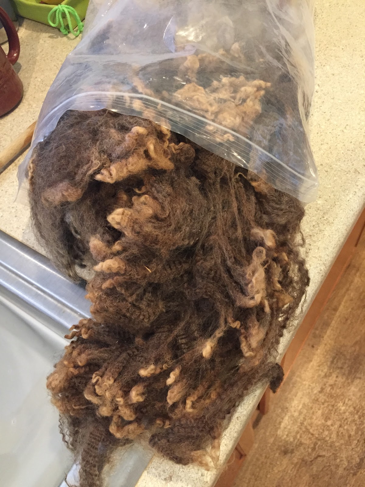 Grow, Make, Learn, Thrive Washing raw wool