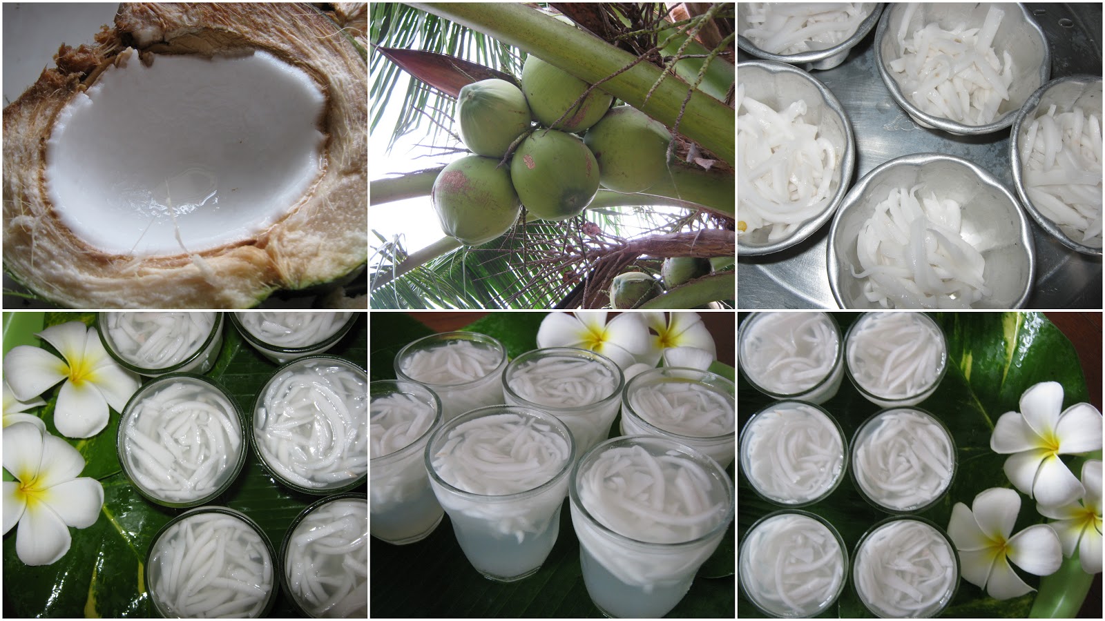 KARI LEAFS Malaysian flavour's COCONUT WATER JELLY