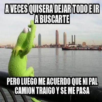 Imágenes chistosas de la rana rene: Imágenes chistosas de la rana rene: