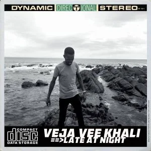 Veja Vee Khali - Late At Night (EP)