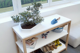 Mesa de madera con bonsai integrado