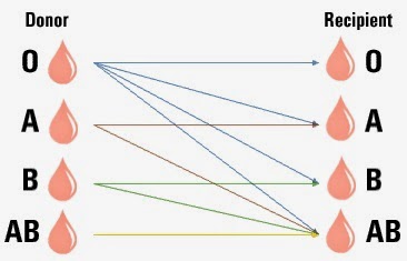Karakter Golongan Darah - Komik Golongan Darah