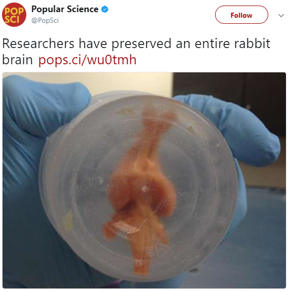 Earth and Space News 21st Century Medicine Frozen Rabbit Brain Has