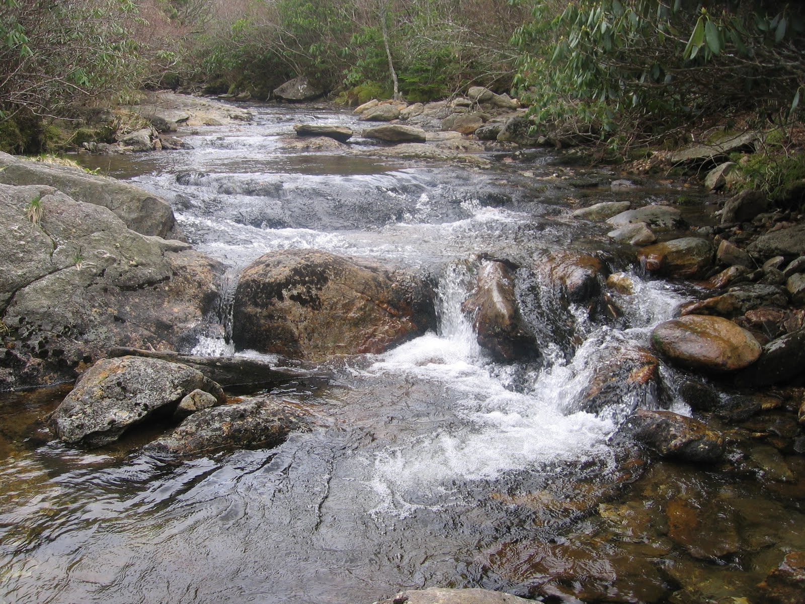 Relaxed Hiking NC: Sam Knob and Flat Laurel Creek 4/9/2011