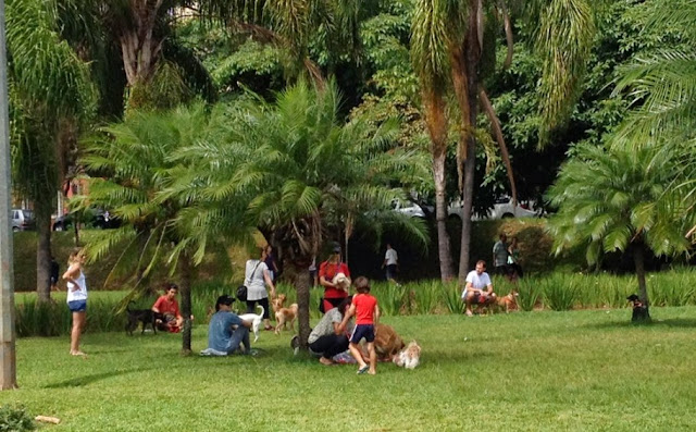 Lugares para passear com o shih tzu em SP-RJ-BH-SALVADOR
